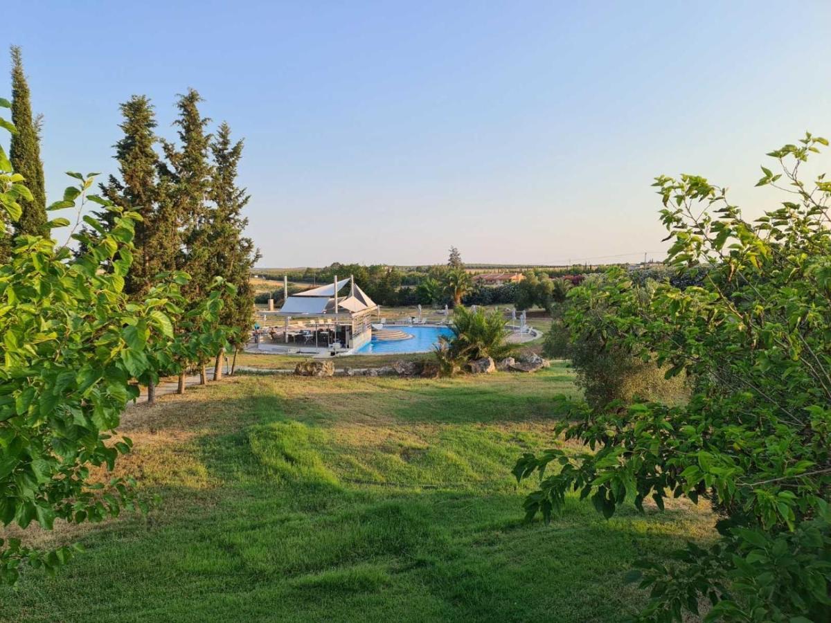 Janis Seaview Villa Неа-Фокеа Экстерьер фото